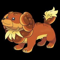 Dachsbun