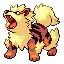 Arcanine — Gen III