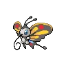 Beautifly — Atual / Current