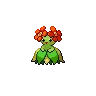 Bellossom — Atual / Current