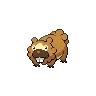 Bidoof — Atual / Current