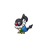 Chatot — Atual / Current