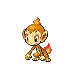 Chimchar — Gen IV