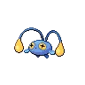 Chinchou — Atual / Current