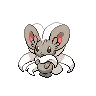 Cinccino — Gen V