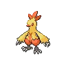 Combusken — Gen V