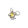 Cutiefly — Atual / Current