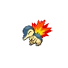 Cyndaquil — Atual / Current