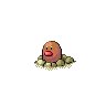 Diglett — Atual / Current