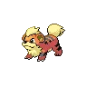 Growlithe — Atual / Current