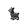 Houndour — Atual / Current
