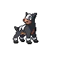 Houndour — Gen IV