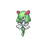 Kirlia — Atual / Current