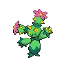 Maractus — Atual / Current