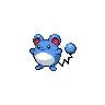 Marill — Atual / Current