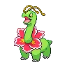 Meganium — Atual / Current