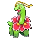Meganium — Gen IV