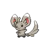 Minccino — Atual / Current