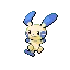 Minun — Gen III