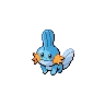 Mudkip — Atual / Current