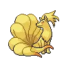 Ninetales — Atual / Current