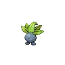 Oddish — Atual / Current