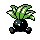 Oddish — Gen II