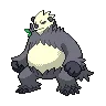 Pangoro — Gen V