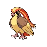 Pidgeot — Atual / Current