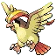 Pidgeot — Gen III