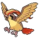Pidgeot — Gen IV