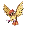 Pidgeotto — Atual / Current