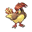 Pidgeotto — Gen III