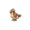 Pidgey — Atual / Current