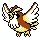 Pidgey — Gen II