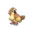 Pidgey — Gen III