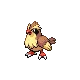 Pidgey — Gen IV