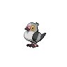 Pidove — Gen V