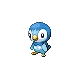 Piplup — Gen IV