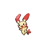 Plusle — Atual / Current