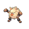 Primeape — Atual / Current