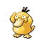 Psyduck — Gen III