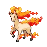 Rapidash — Atual / Current