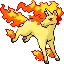 Rapidash — Gen III
