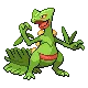 Sceptile — Gen IV