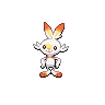 Scorbunny — Gen V