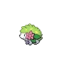 Shaymin — Gen V