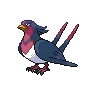 Swellow — Atual / Current