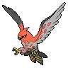 Talonflame — Atual / Current