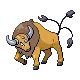 Tauros — Gen IV